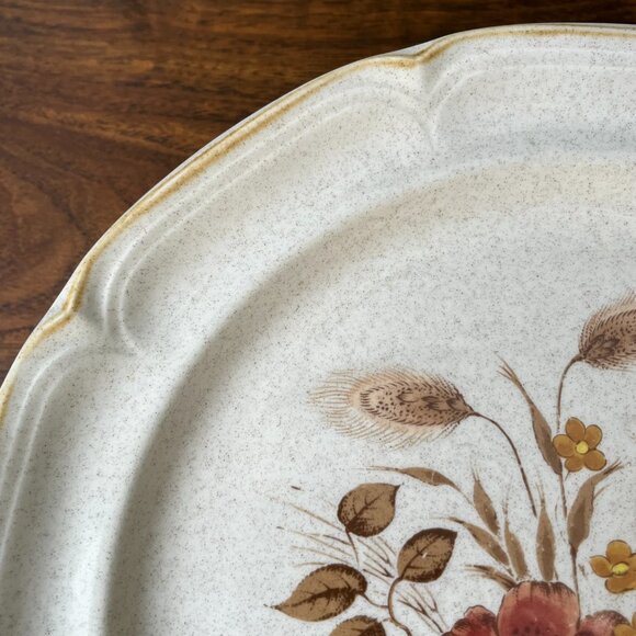 4 Endura Collection Stoneware Dinner Plates Festive SY-6669 Japan - Picture 7 of 10